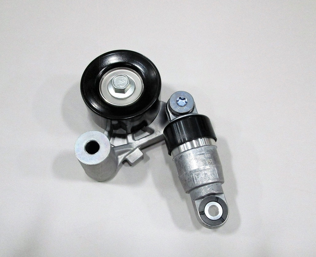 Tensioner, Accessory Drive Belt, LT4