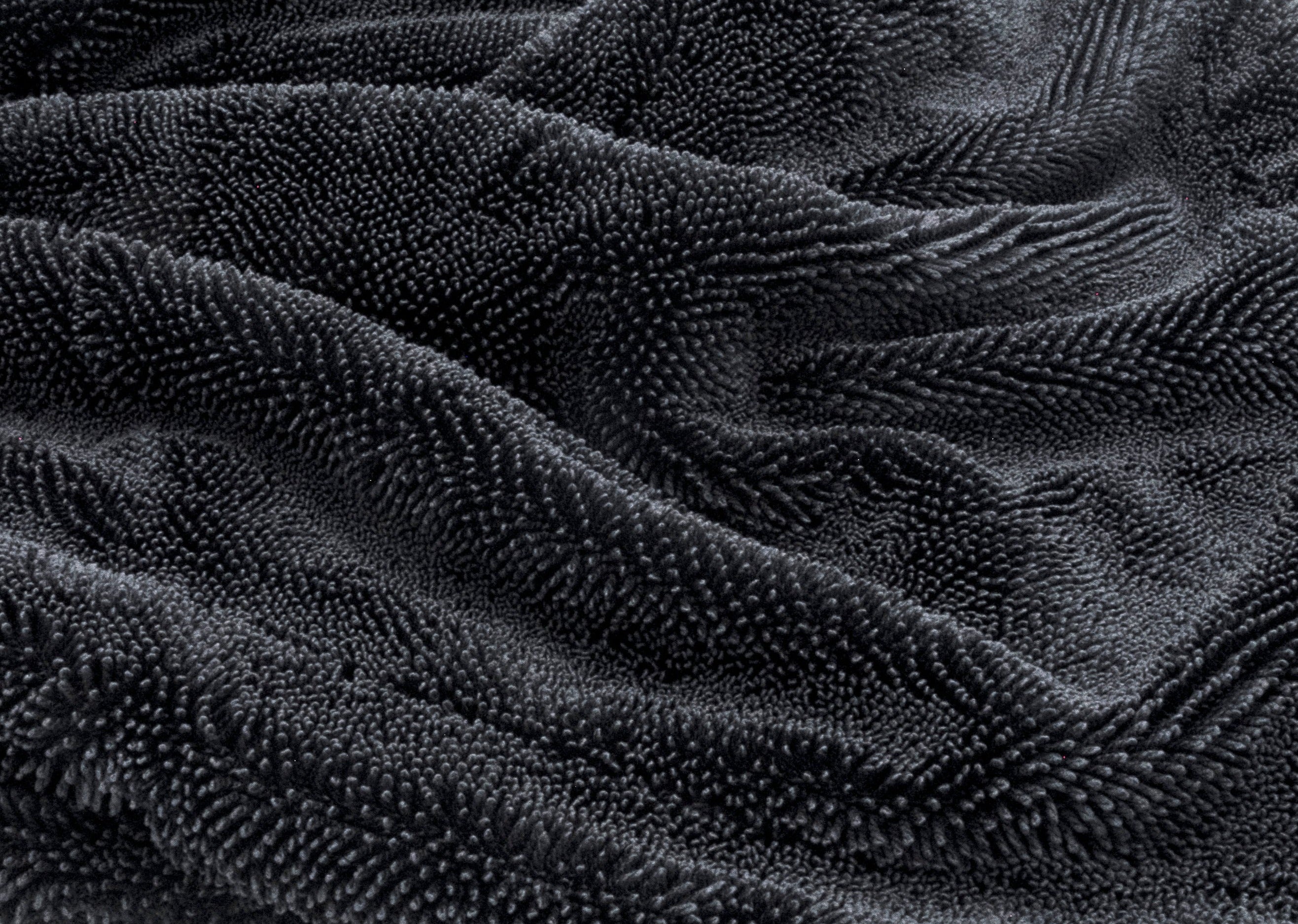 Close-up of a black twisted loop drying towel with textured, plush, and absorbent fabric.
