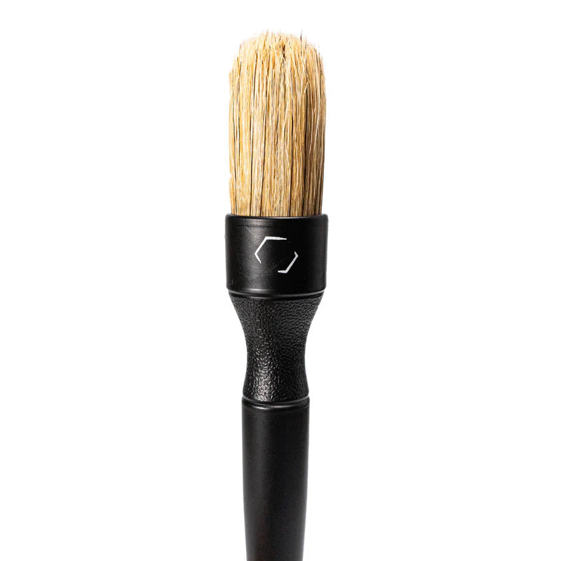 Blackline Boar&