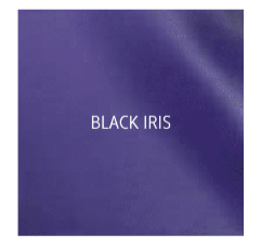 Malibu/Axis Black Iris Gel Coat '08-'11
