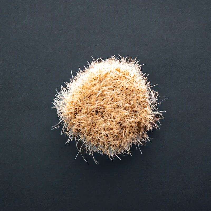 Blackline Boar's Hair Brush Set