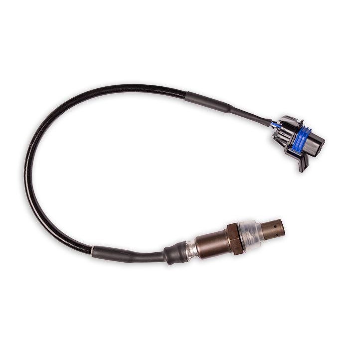 O2 Sensor